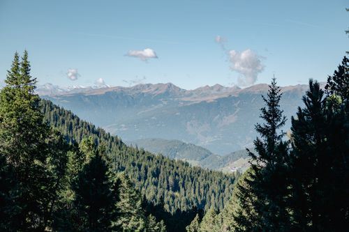 Free Breathtaking landscape of the Dolomites with lush green forests and clear skies, perfect for nature enthusiasts. Stock Photo