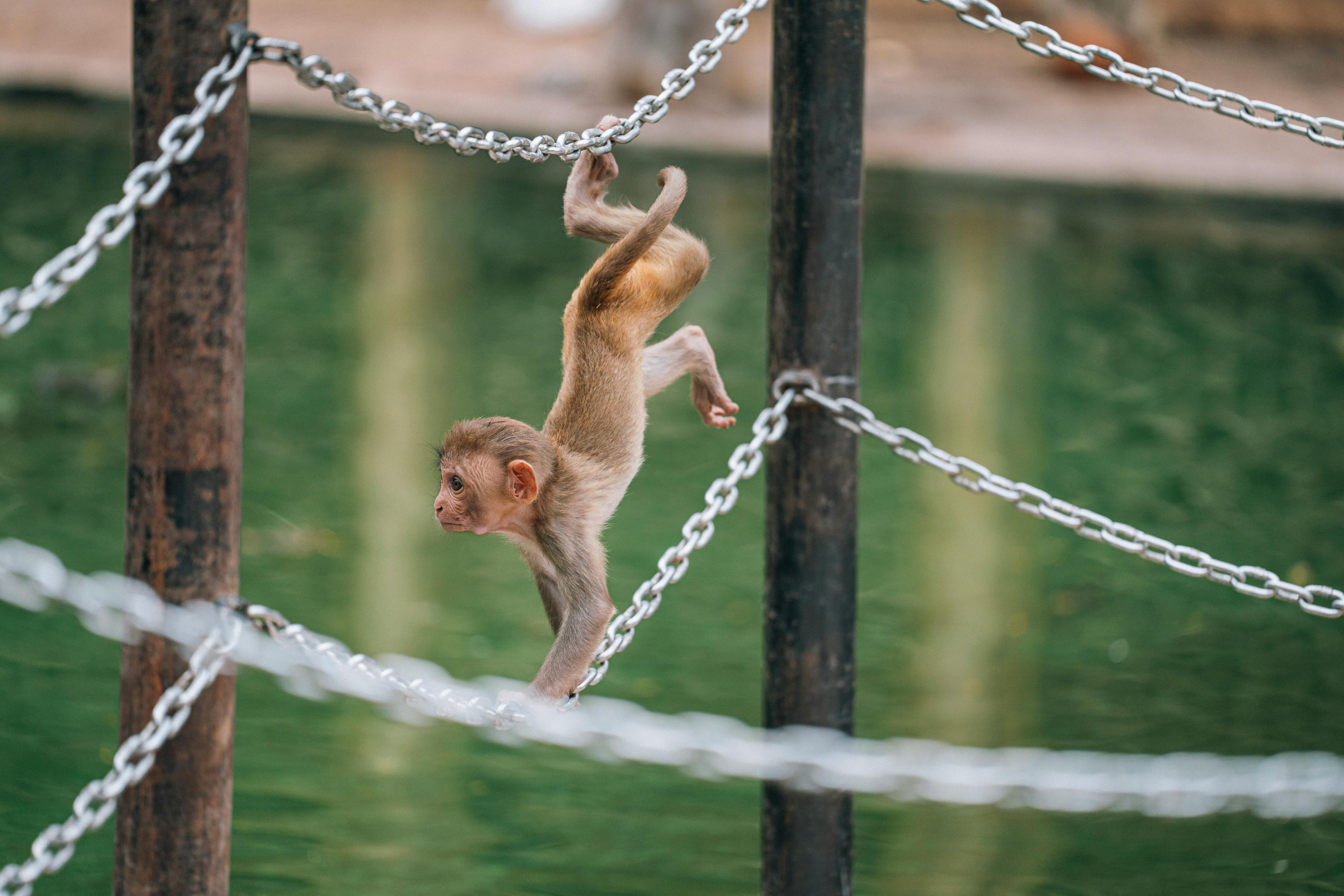 Understanding Lean Agile Principles for Effective Project Management