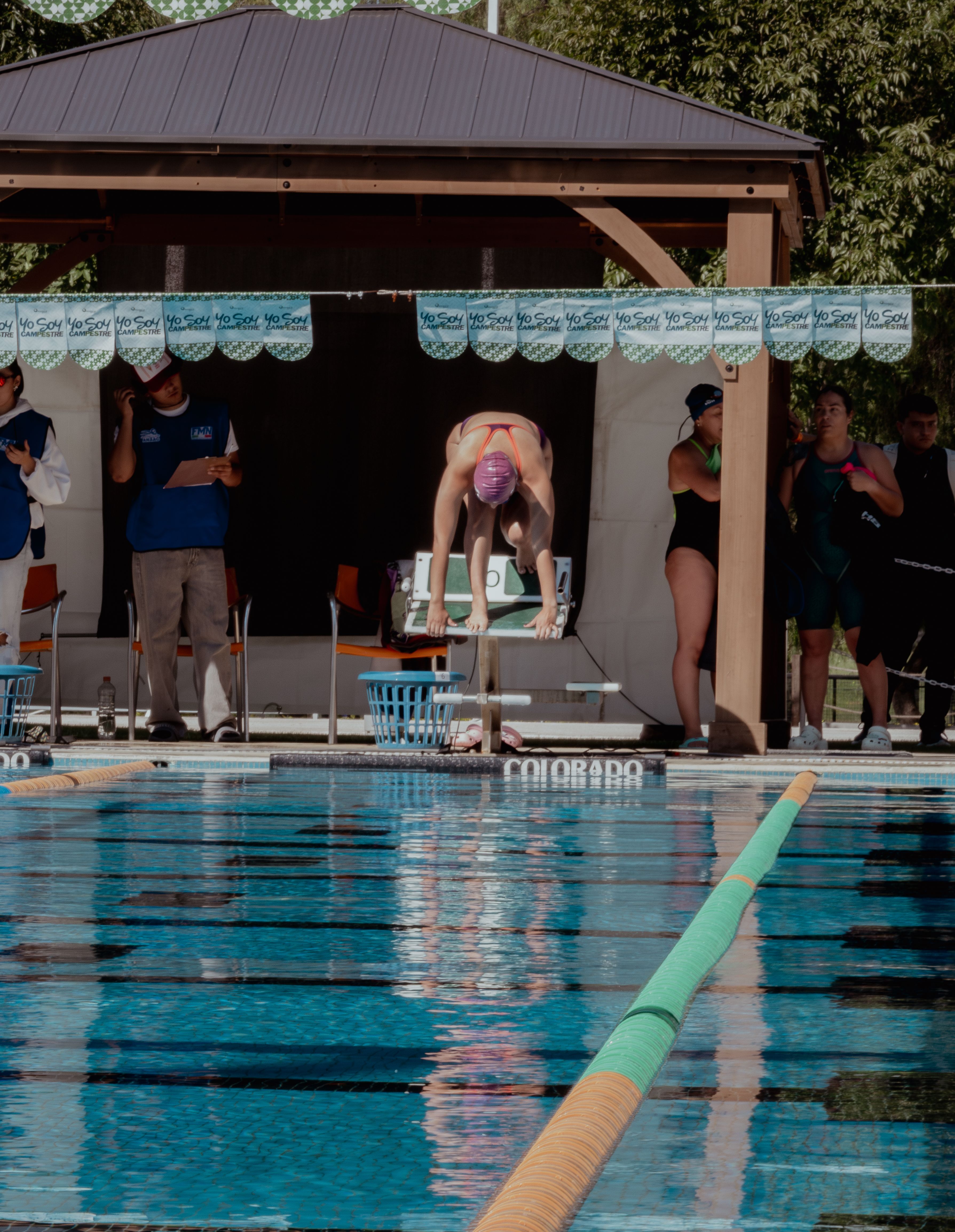 Swimmer diving into the pool with strong technique