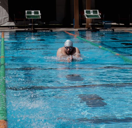 Free Swimmer performing butterfly stroke in Aguascalientes, Mexico pool. Stock Photo