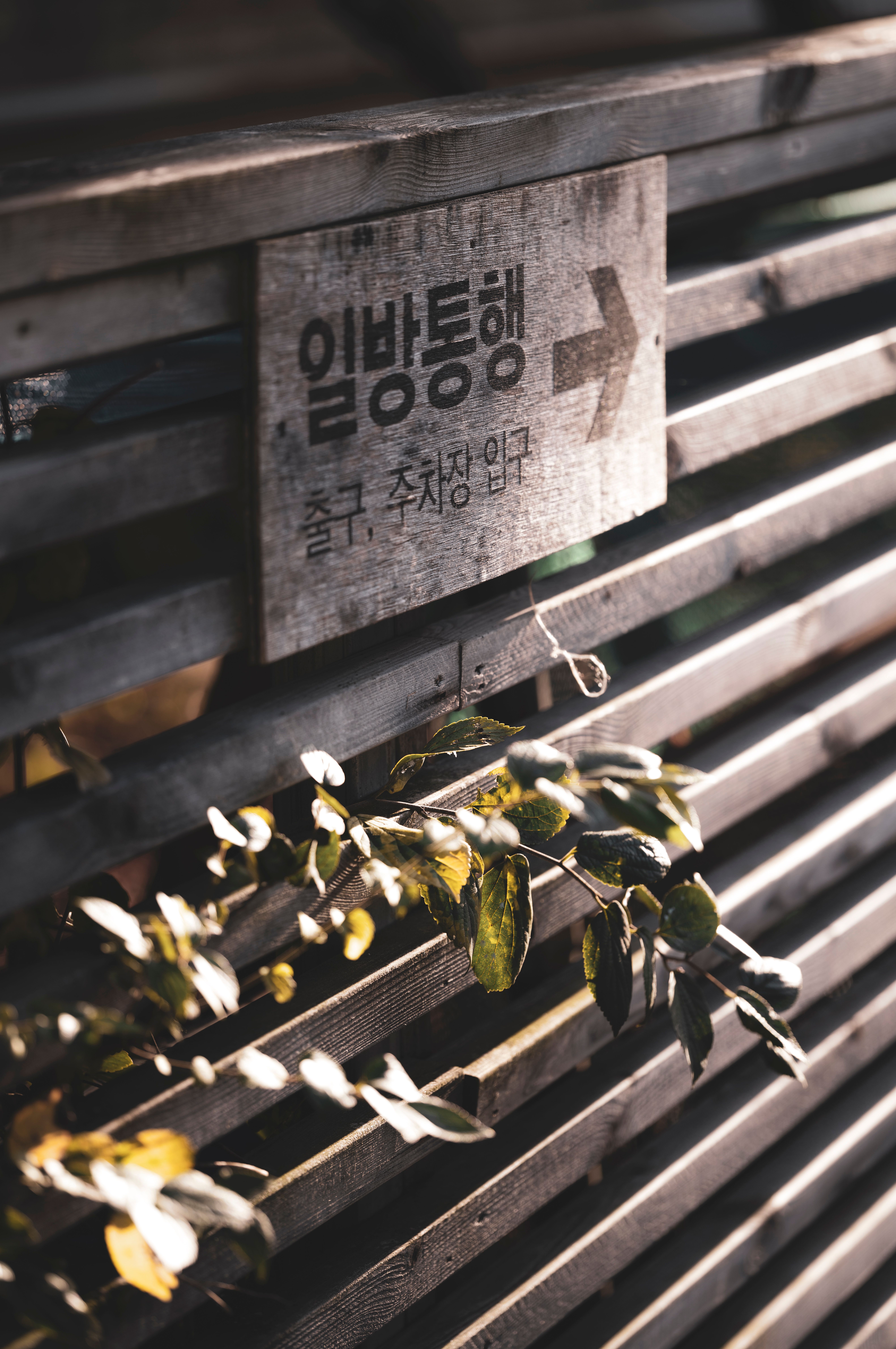옌볜대학 간판 거리