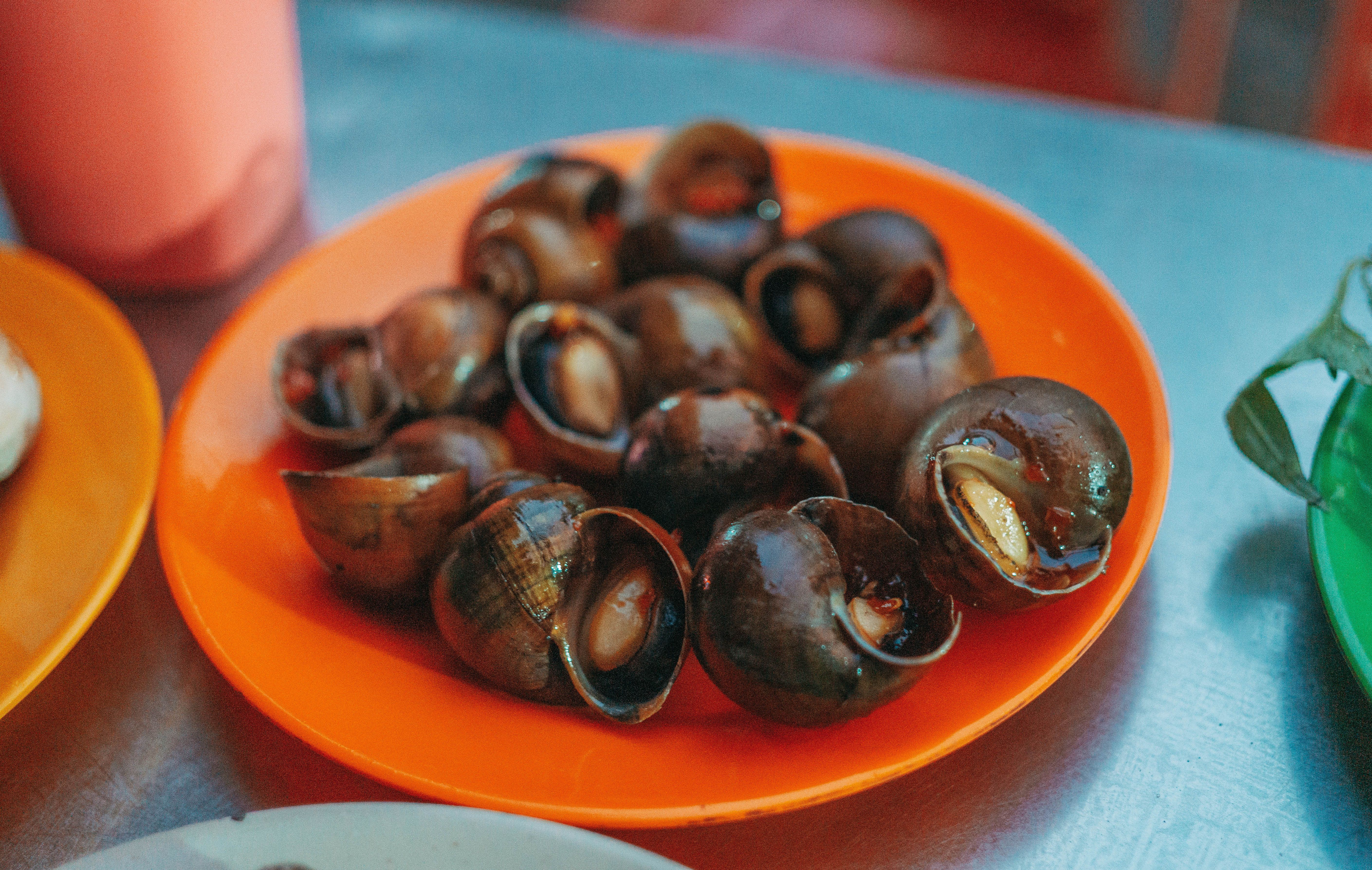 manger des escargots - Choix, élevage et approvisionnement : comment sélectionner les meilleurs escargots ?
