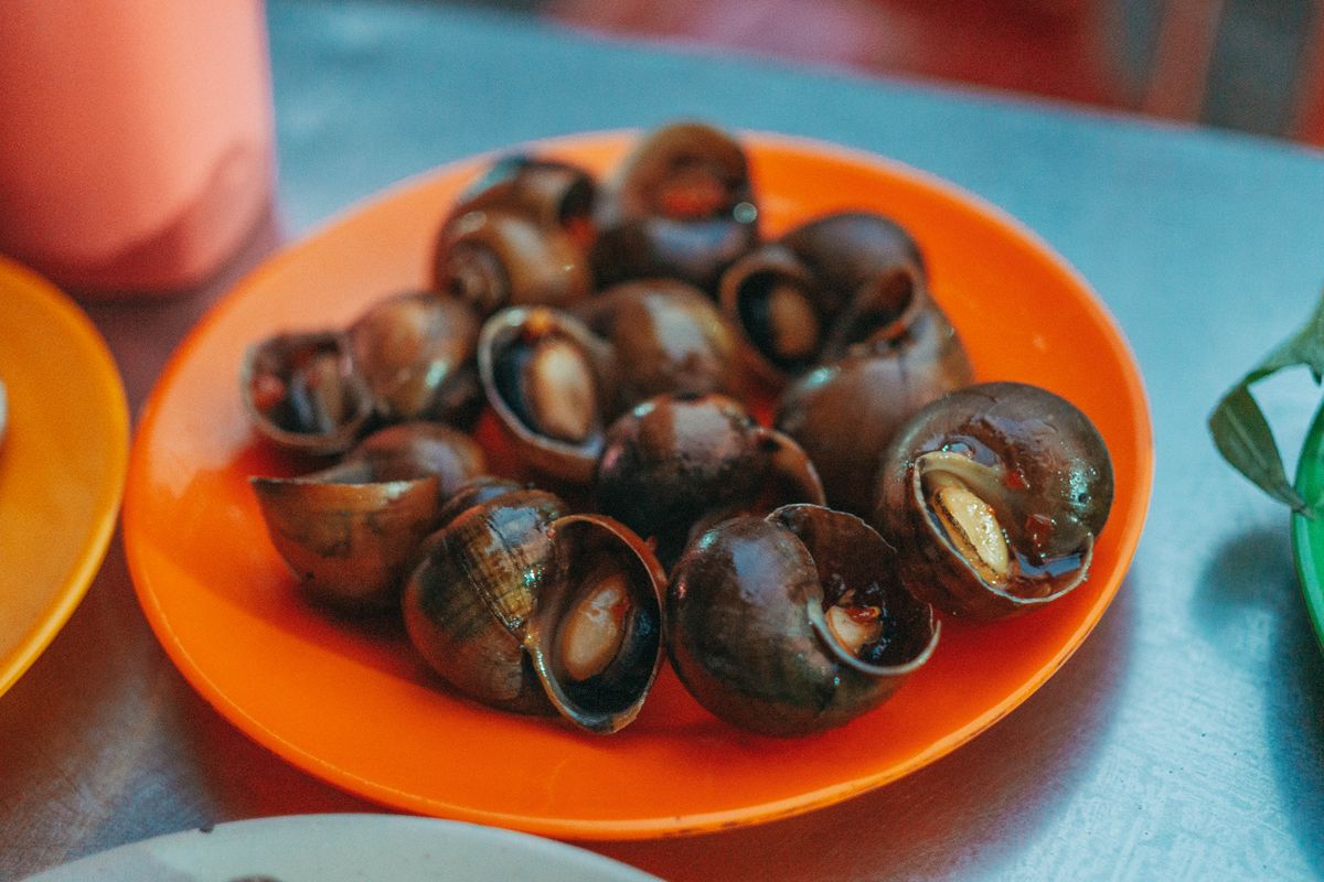 manger des escargots - Choix, élevage et approvisionnement : comment sélectionner les meilleurs escargots ?