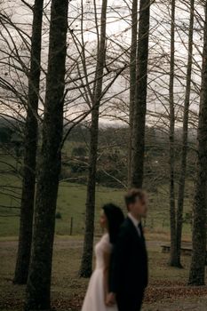 Blurred couple in a serene forest landscape on a chilly day.