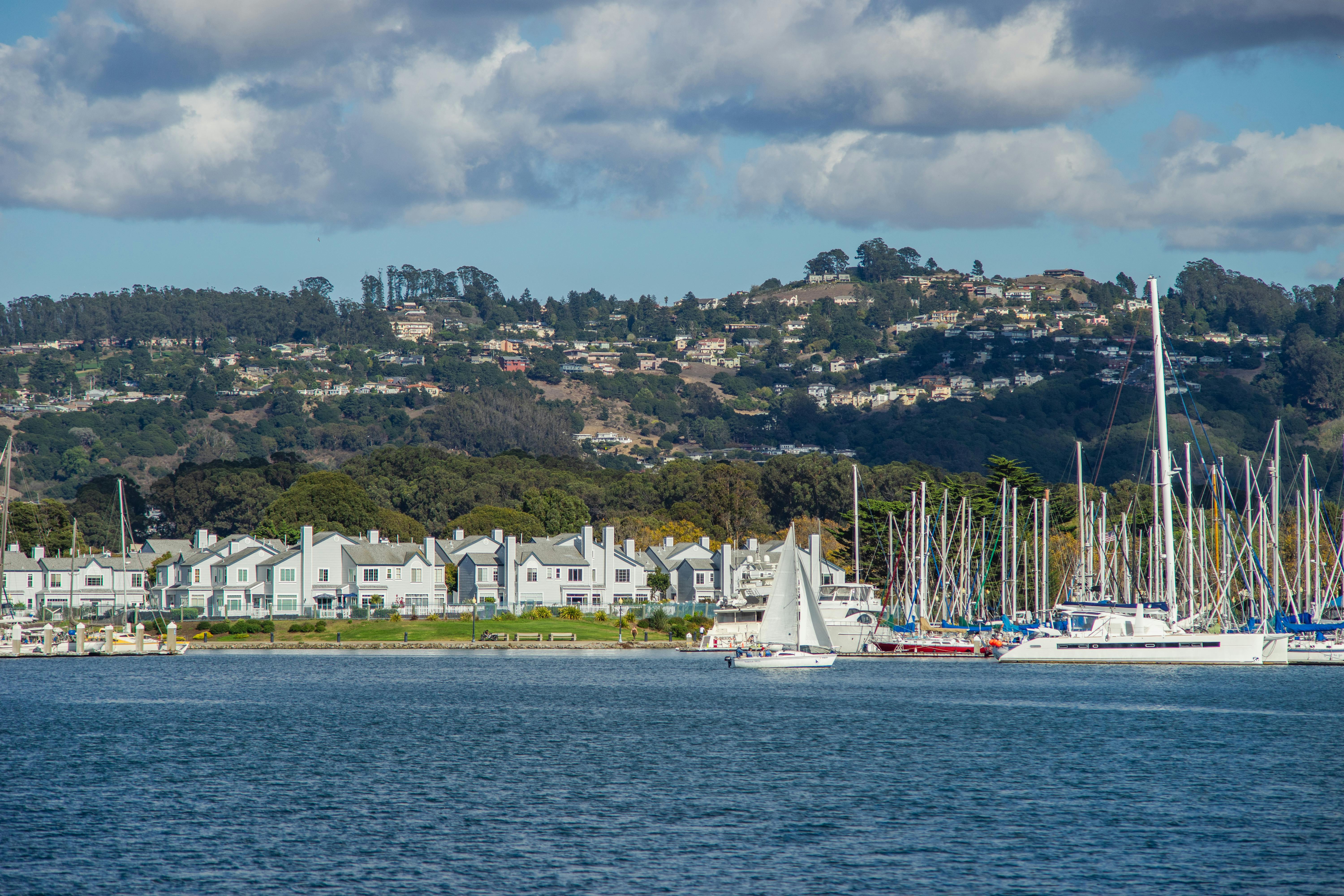 The Best Immigration Attorneys in the Bay Area | Local Recommendations for Best Immigration &amp; Asylum Lawyers — Photo by R