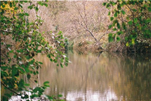 Free Tranquil autumn scene with reflections on a calm lake in İstanbul park. Stock Photo