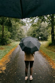 Rear view of a person holding an umbrella on a wet path surrounded by lush trees.