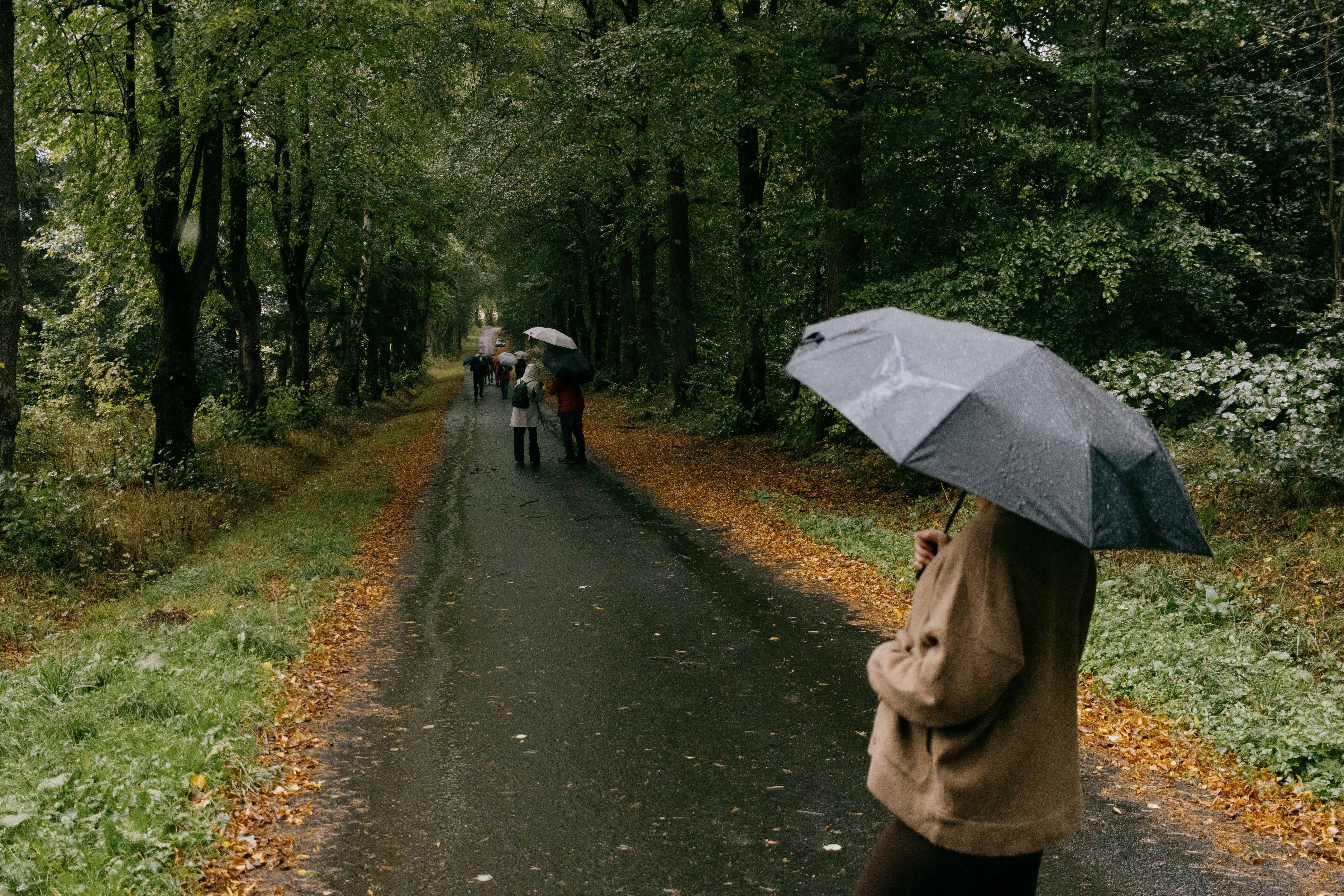 hiker trail rain umbrella