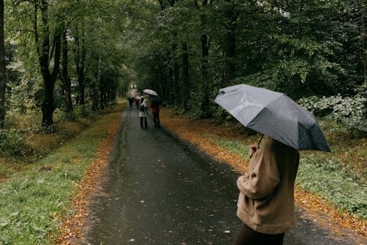 People walking with umbrellas on a rainy forest path, surrounded by lush greenery.