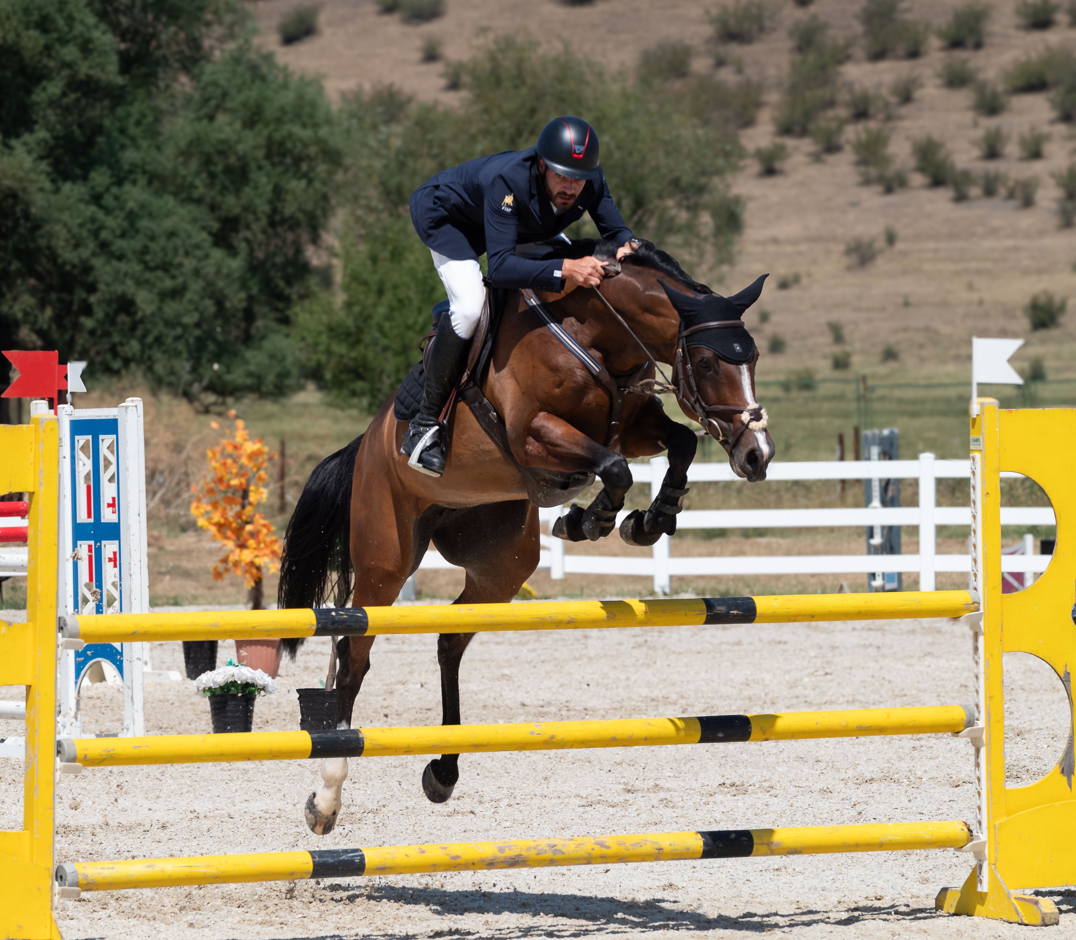 A breathtaking moment of a rider and horse in mid-jump during an equestrian event in Tbilisi, Georgia.