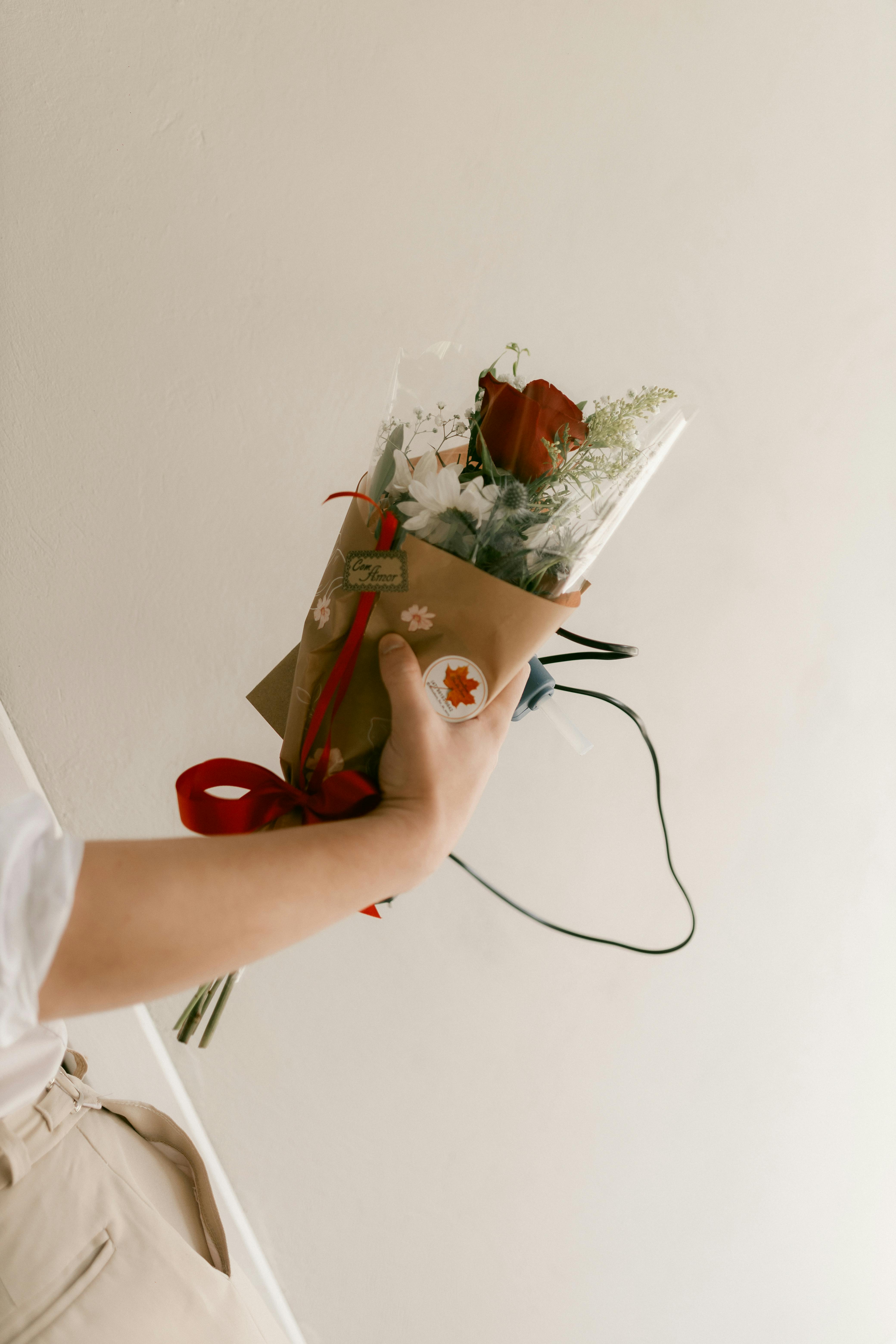 Free A delicate bouquet of red roses held against a minimalist background, perfect for romantic occasions. Stock Photo