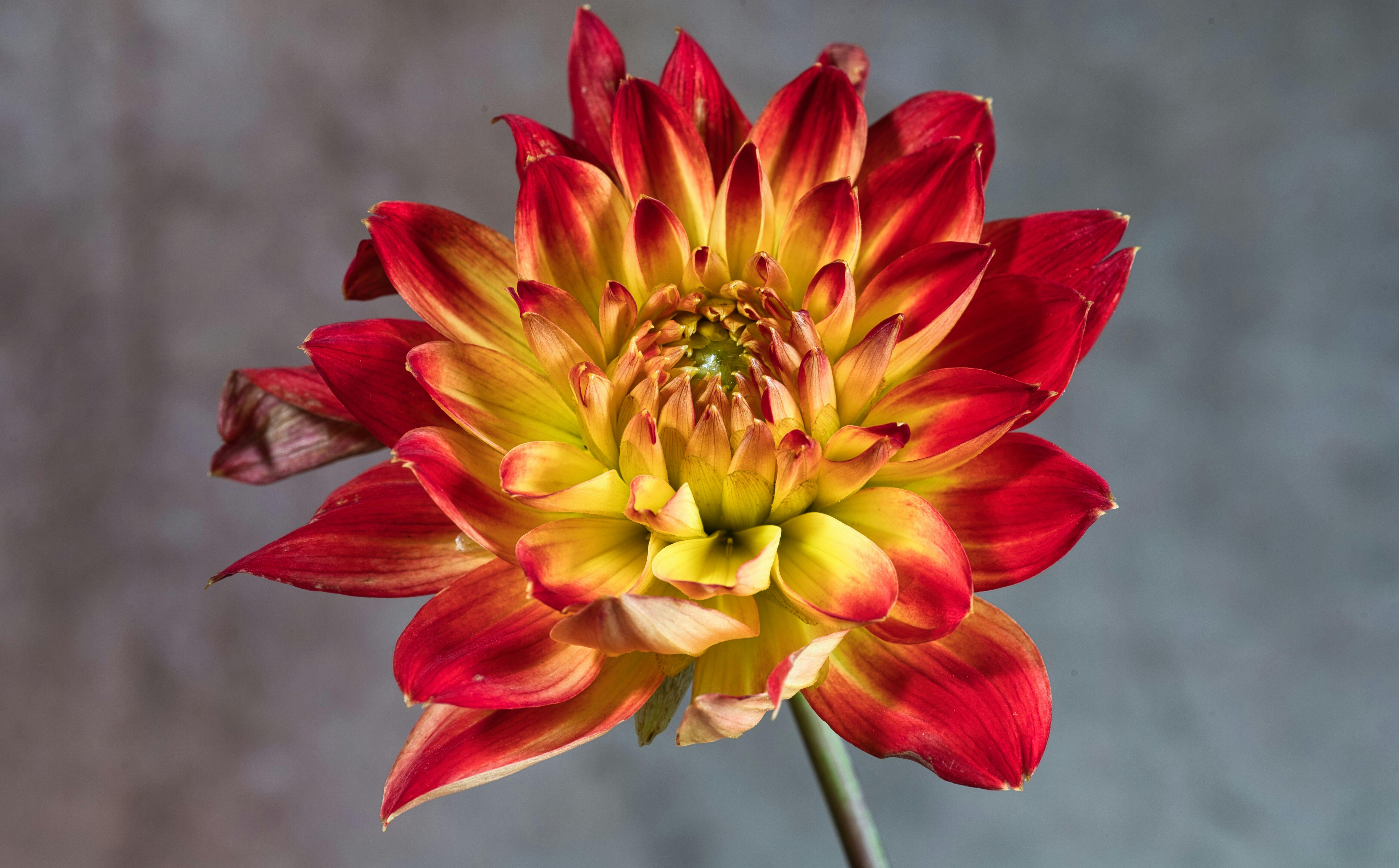 打造舒適生活的五大必備技巧，提升居家幸福感