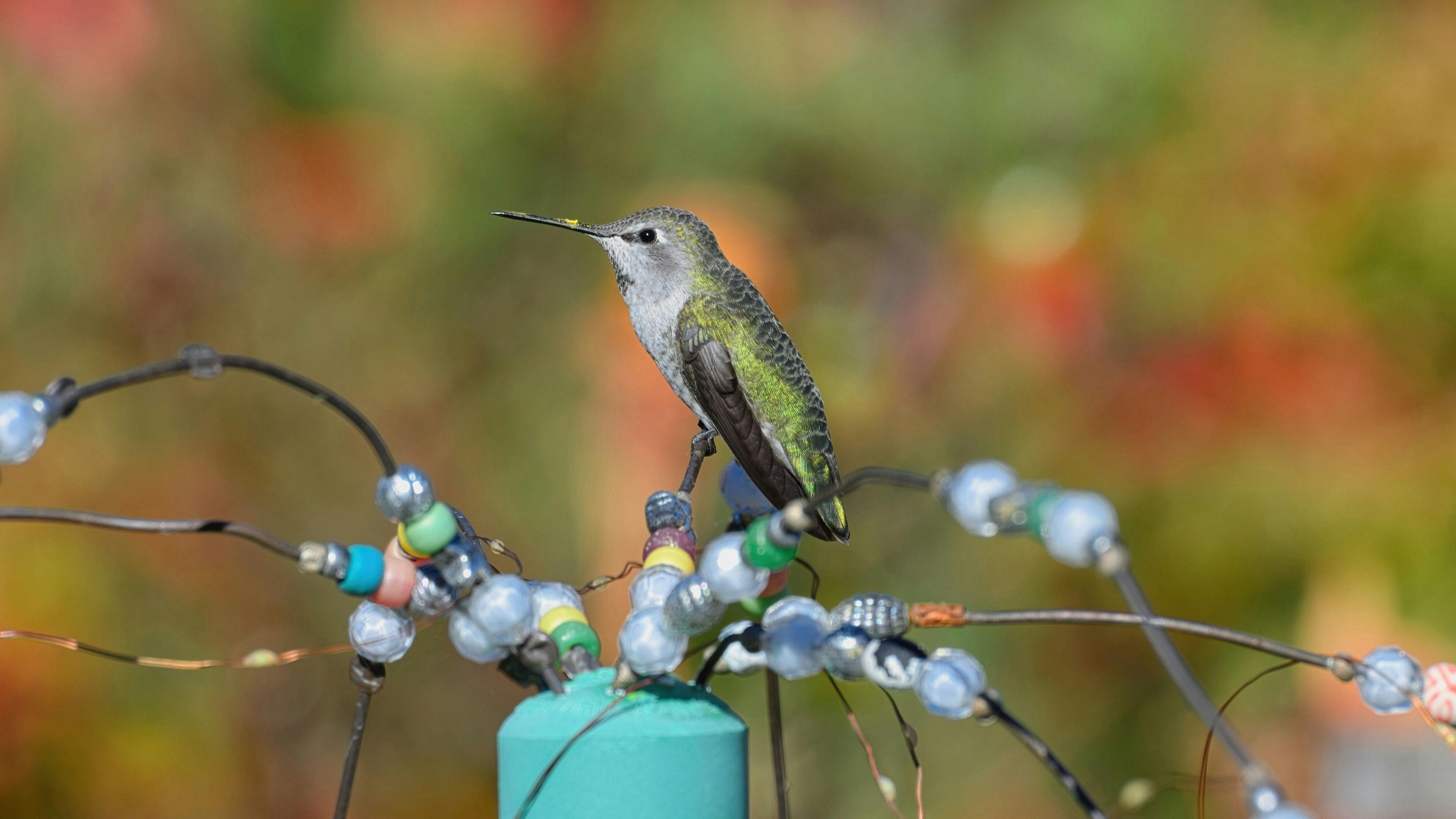 華盛頓10月16日熱點新聞簡訊，掌握最新政治與社會動態