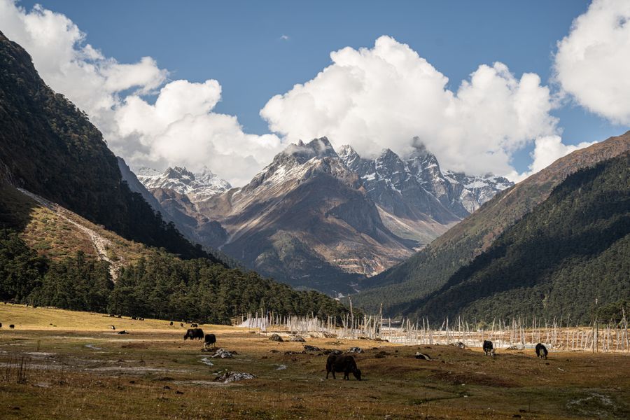 Yumthang Valley photo 3