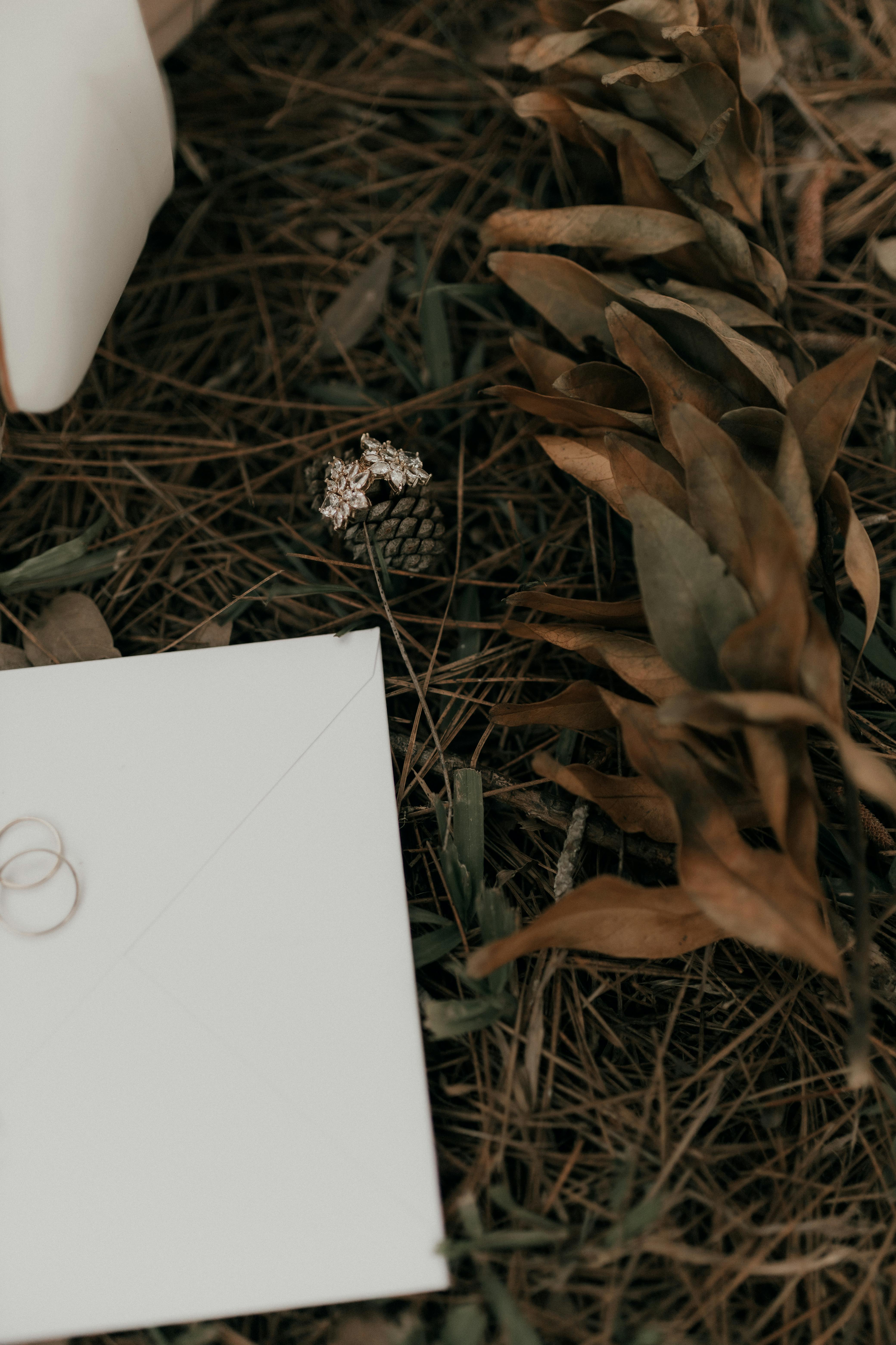 grátis Foto profissional grátis de agulhas de pinheiro, alianças, amor Foto profissional