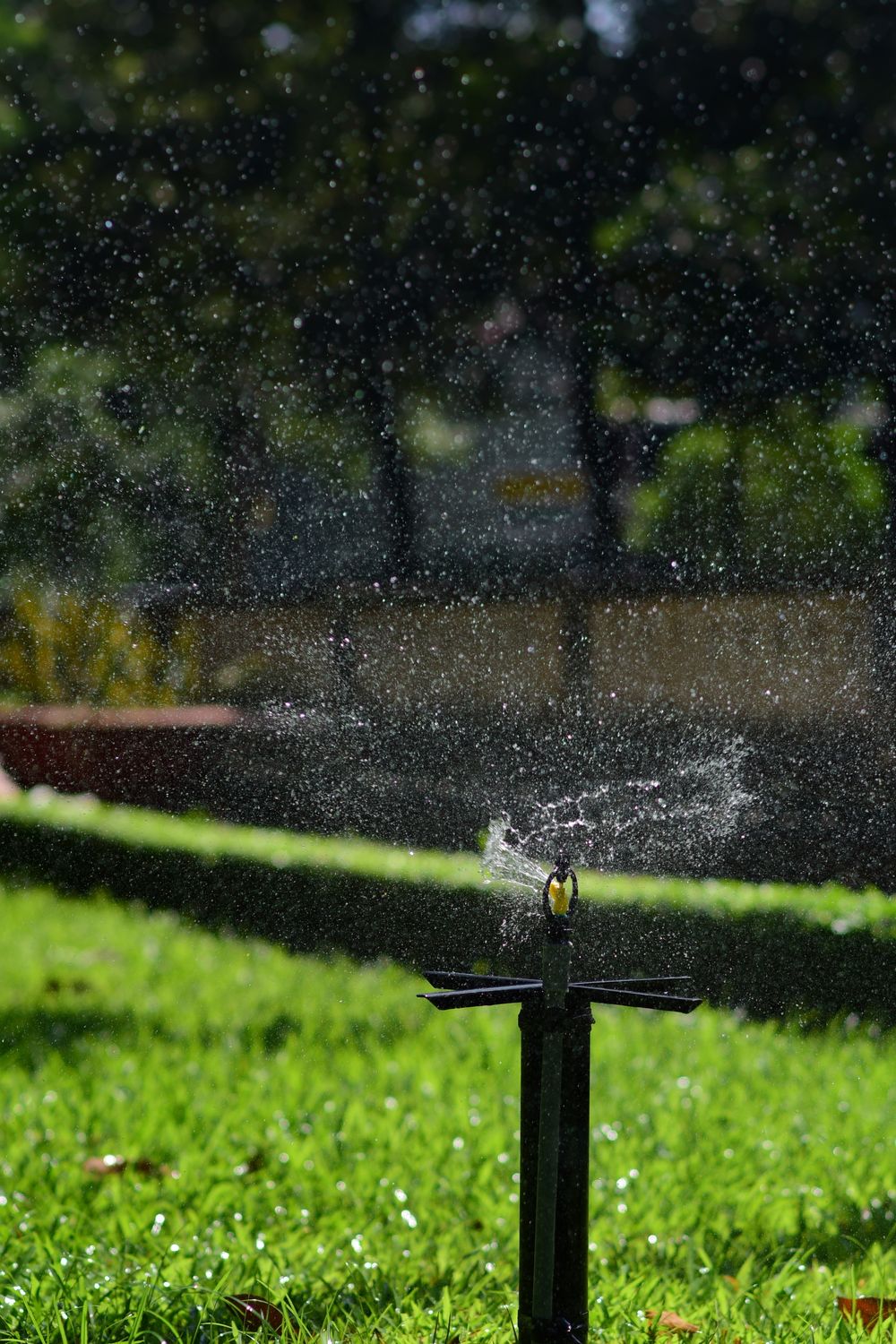 Backflow Testing & Repair