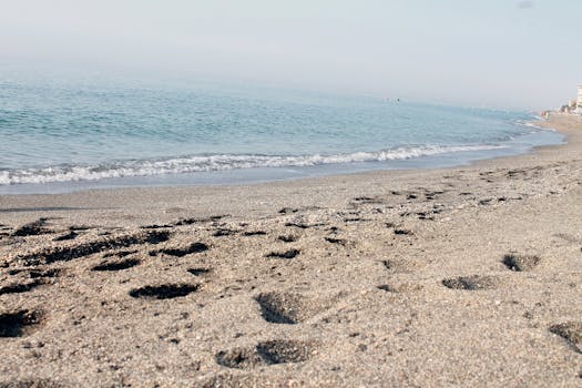 Free stock photo of sea, holiday, vacation, sand