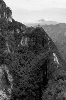 Black and white photo capturing a dramatic mountain landscape with dense forests and rugged cliffs.