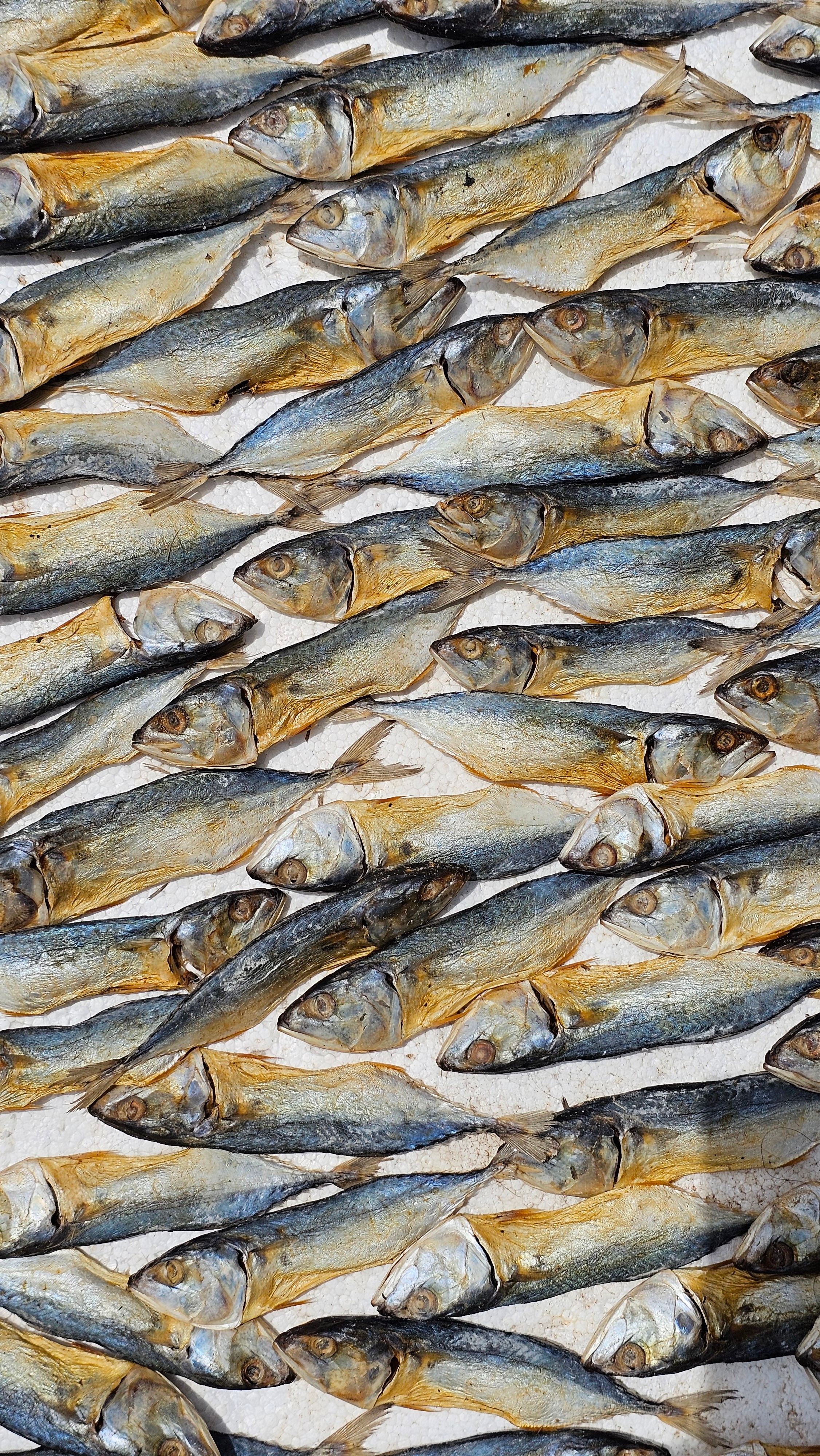 Dried fish