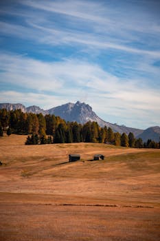 Picturesque autumn landscape of Trentino-Alto Adige, Italy featuring distant mountains and vibrant foliage.