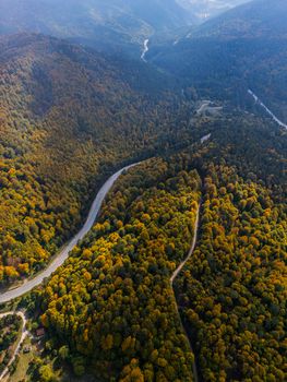 Berg & Wald in der Natur – Strahlendes Landschaftsfoto