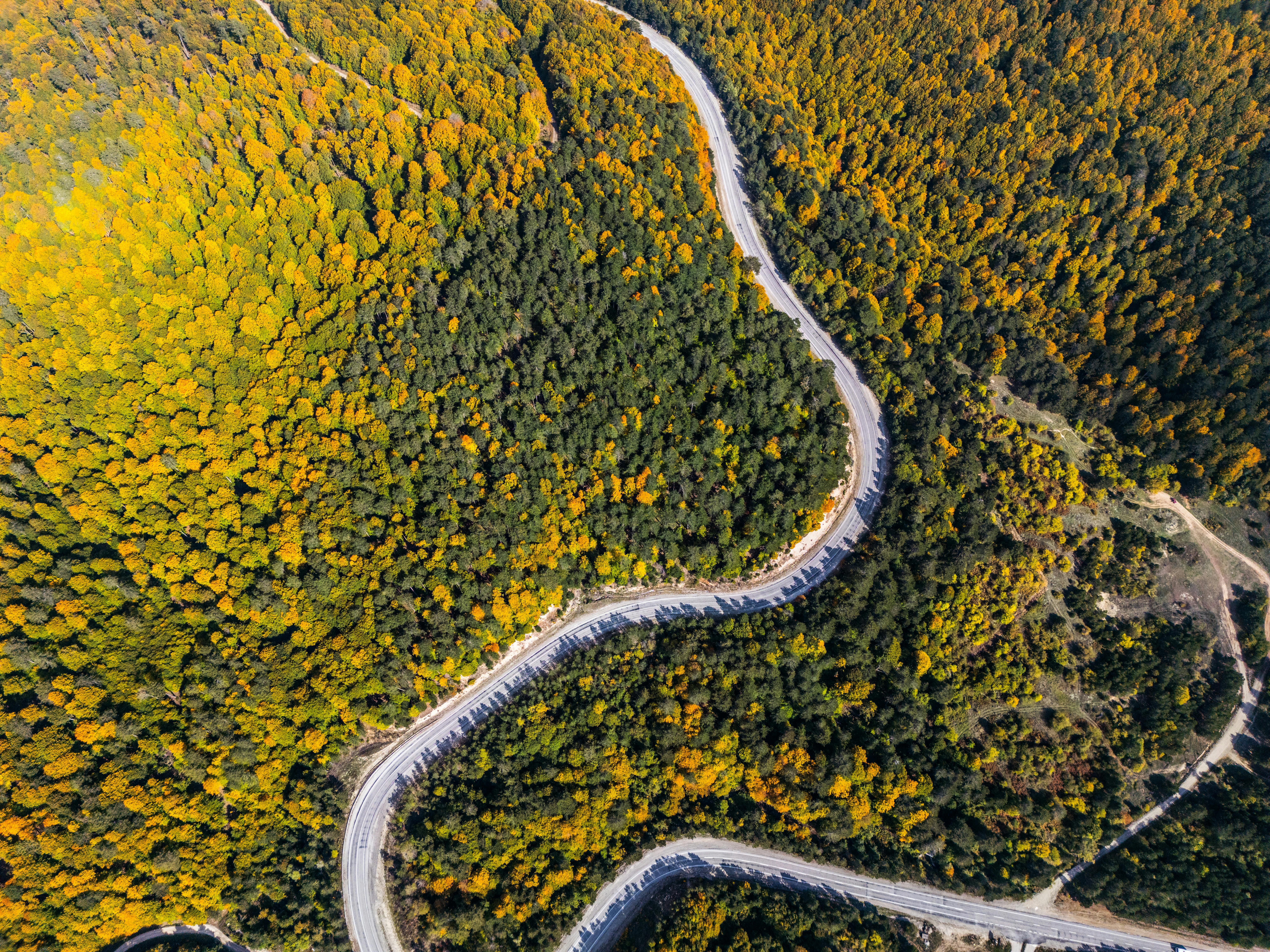 Transformative Travel Stories: How Journeys Change Our Lives