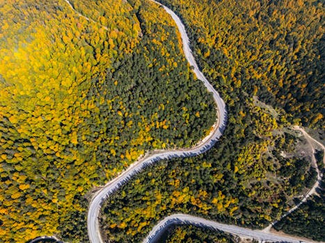 A breathtaking aerial shot of a winding road cutting through a vibrant autumn forest.