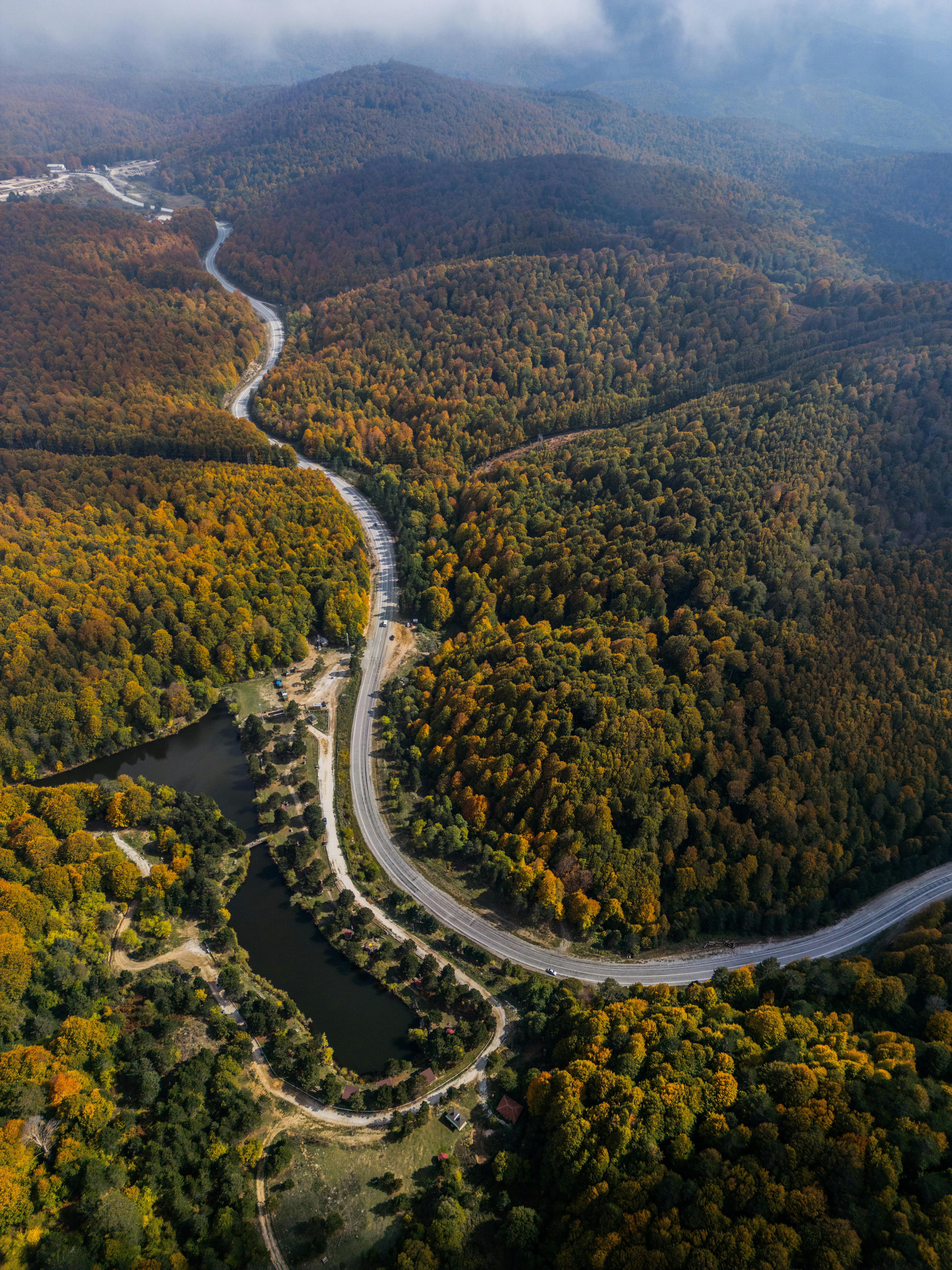 Stunning aerial shot of a winding road weaving through dense forest in autumn.