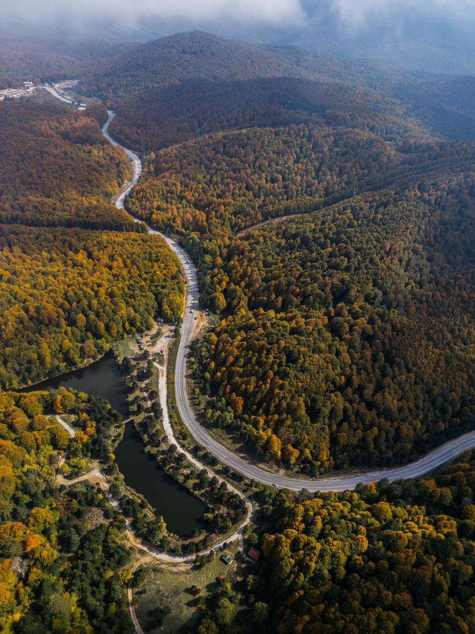 Eindrucksvoller Wald & Straße – Naturmotiv als Hintergrundbild