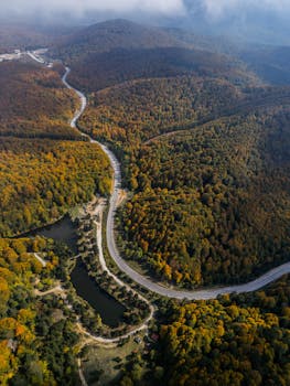 Stunning aerial shot of a winding road weaving through dense forest in autumn.