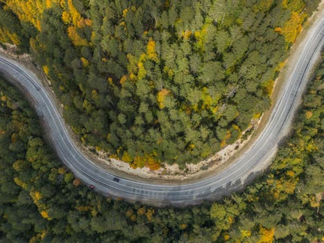Drone shot capturing a winding road cutting through a lush green forest during autumn.