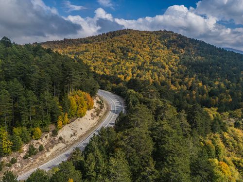 Free Aerial view of a winding mountain road surrounded by colorful autumn foliage and lush greenery. Stock Photo