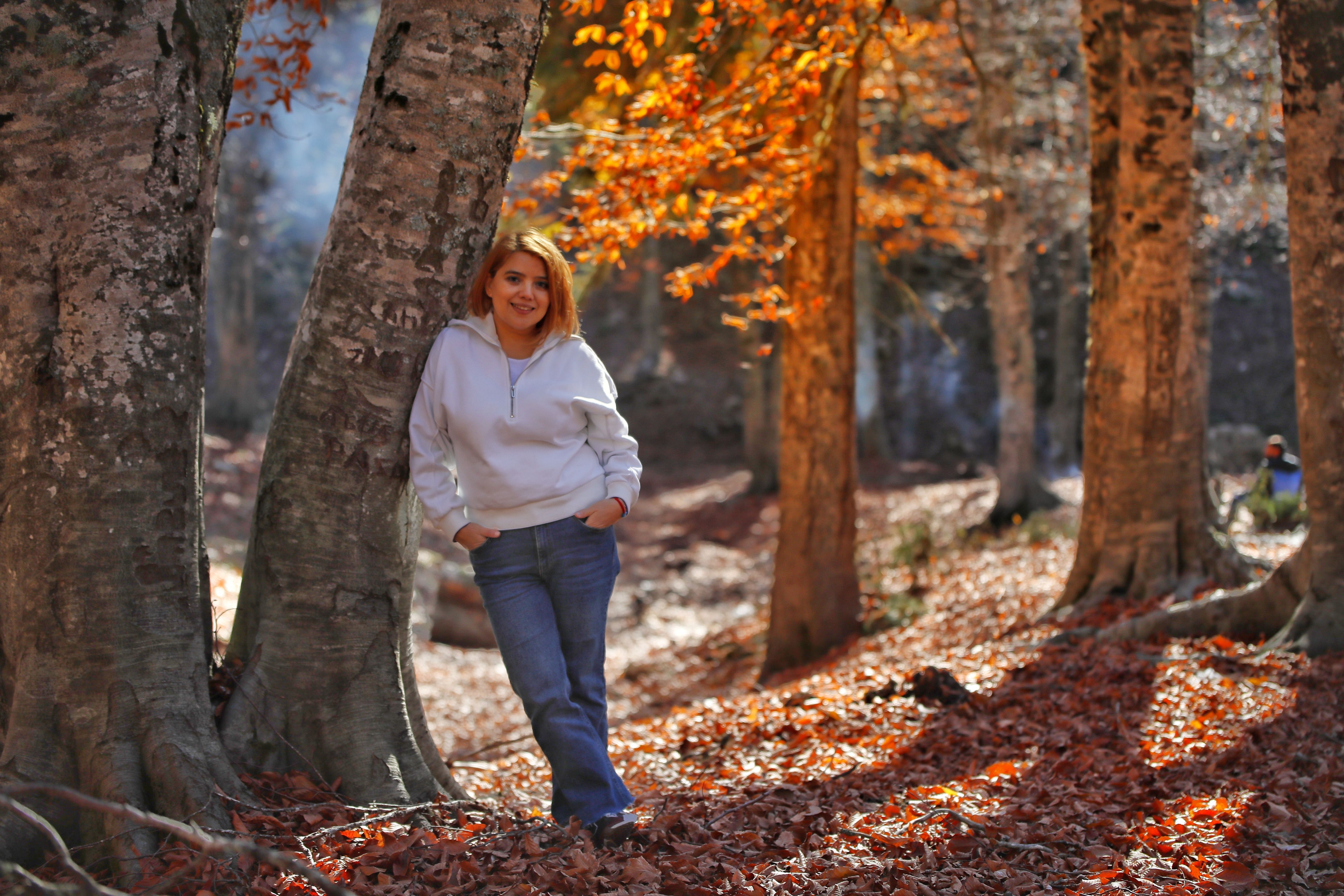 Woman in Autumn Forest Leaning Against Tree · Free Stock Photo
