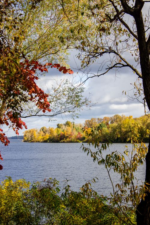 Free Beautiful autumn lake scene with colorful foliage and overcast sky. Stock Photo