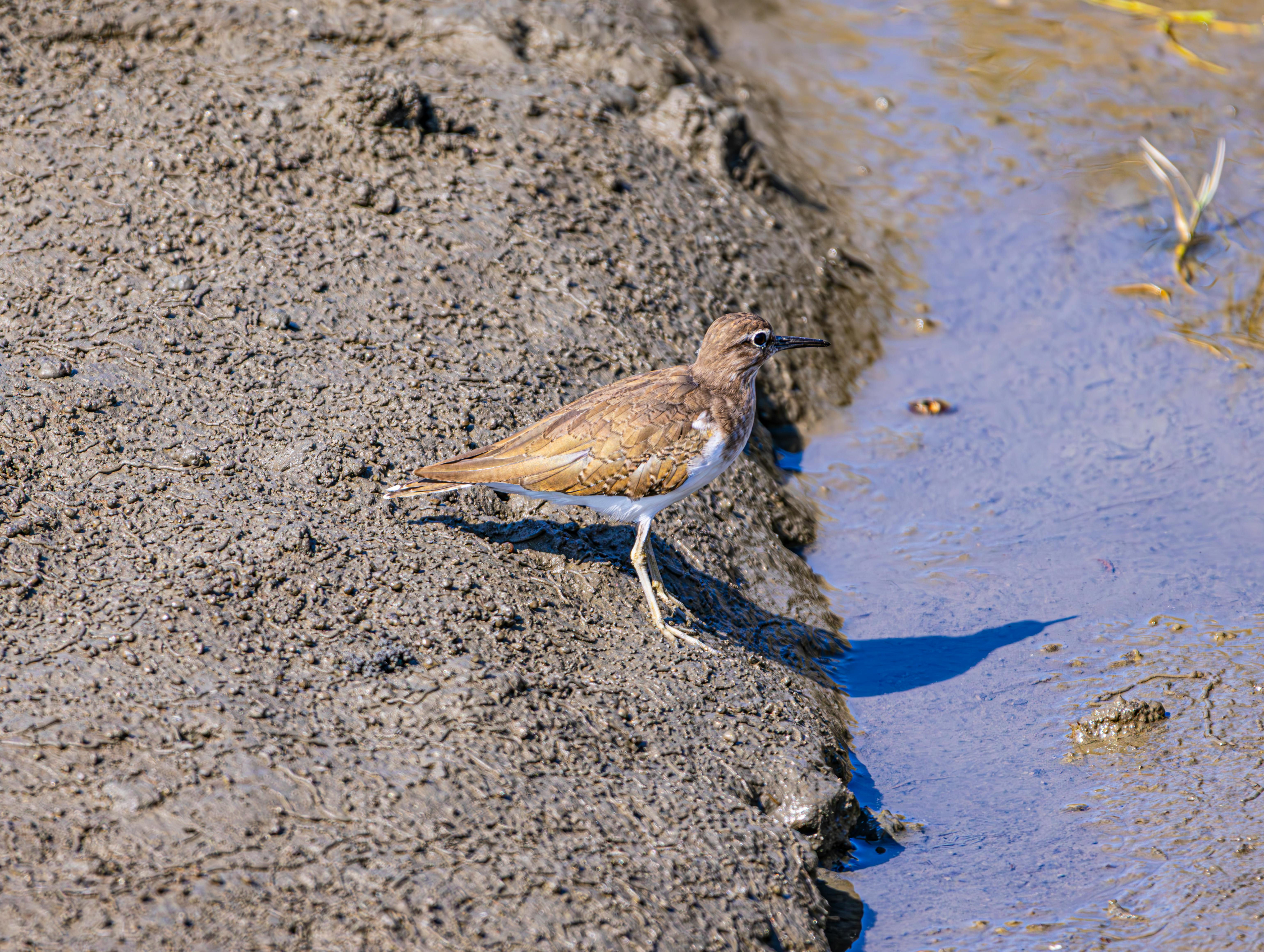 國際：澳洲央行總裁：貨幣政策現階段略微緊縮