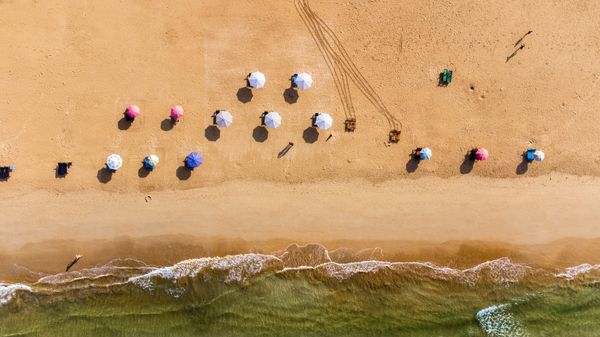 Ultimate Travel Guide to Bentota, Sri Lanka (2026)