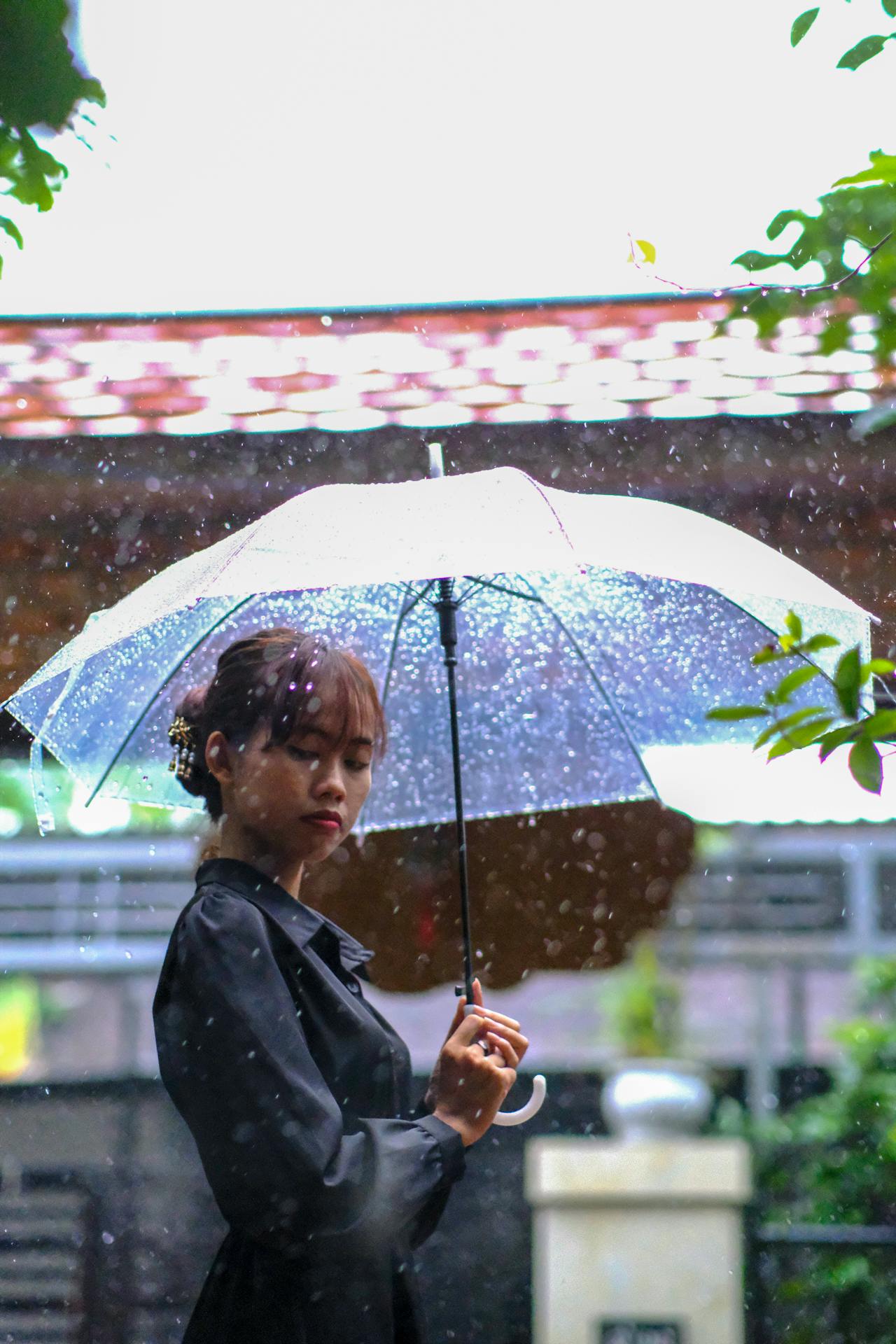 Biên niên ký chim vặn dây cót | Chương 03