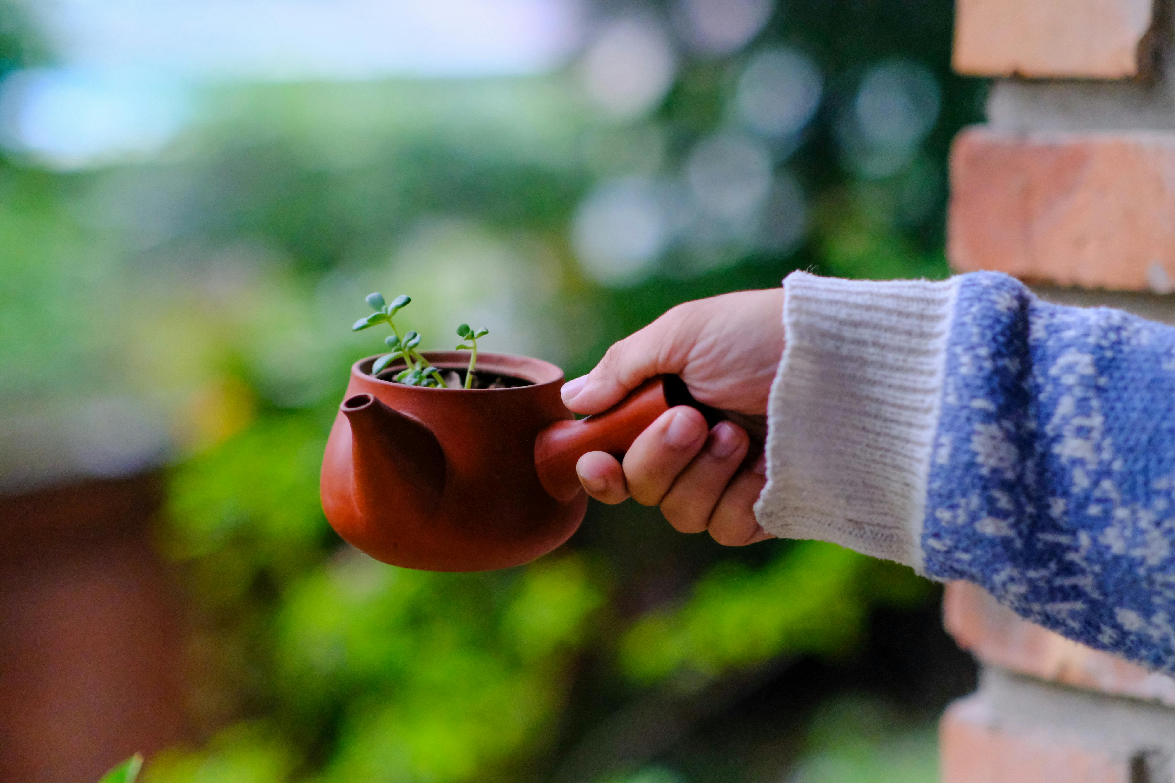 Trung tâm nghiên cứu văn học, phát triển nhà văn Việt Nam