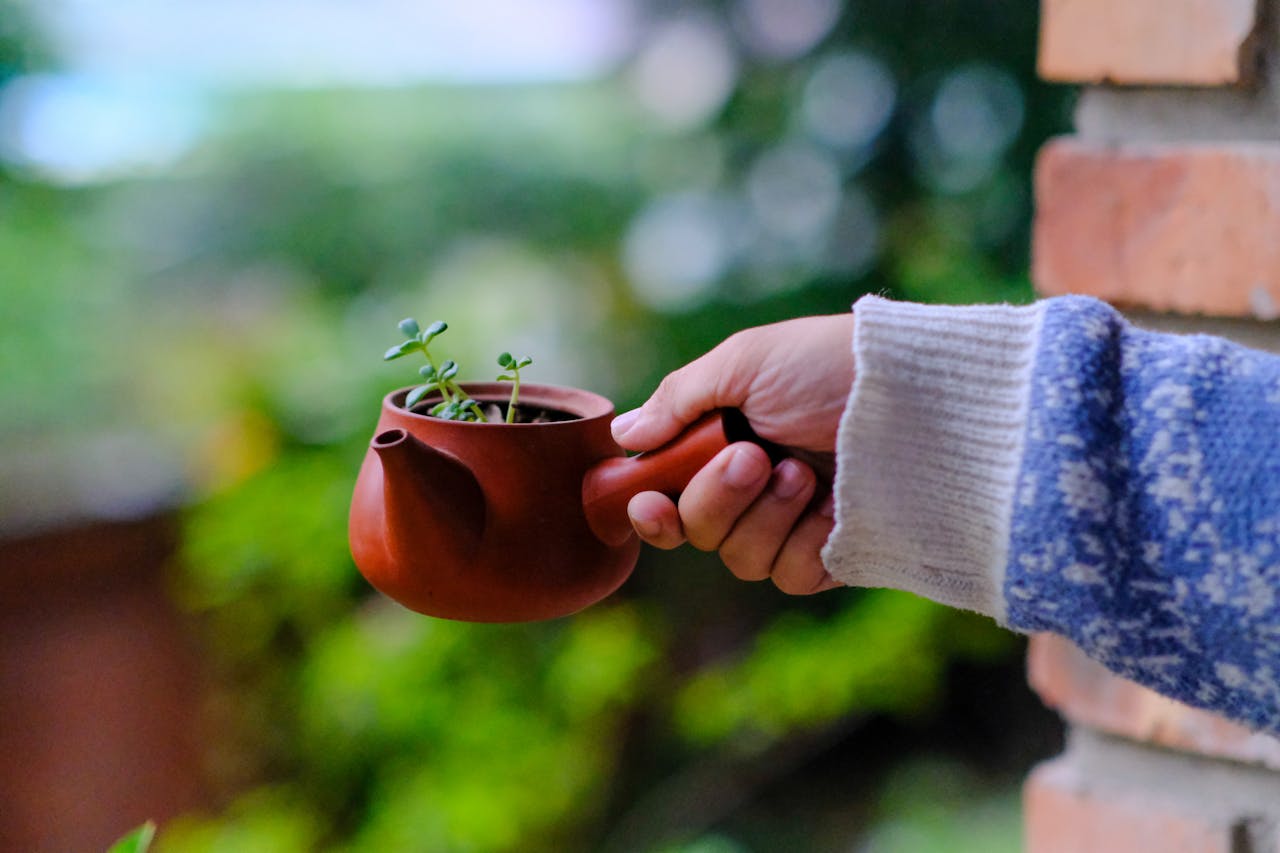 Thám tử lừng danh Conan | Chương 0616