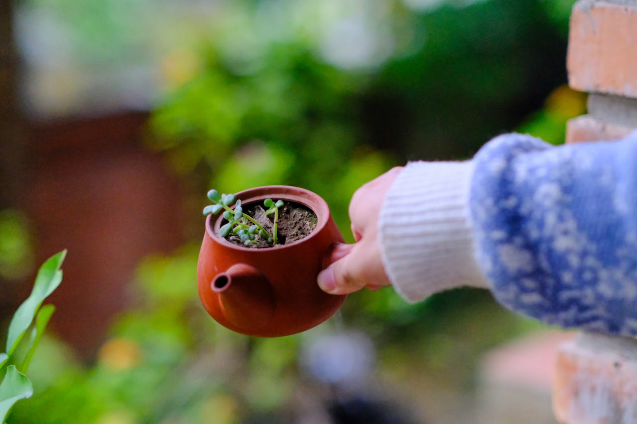 Thám tử lừng danh Conan | Chương 0987