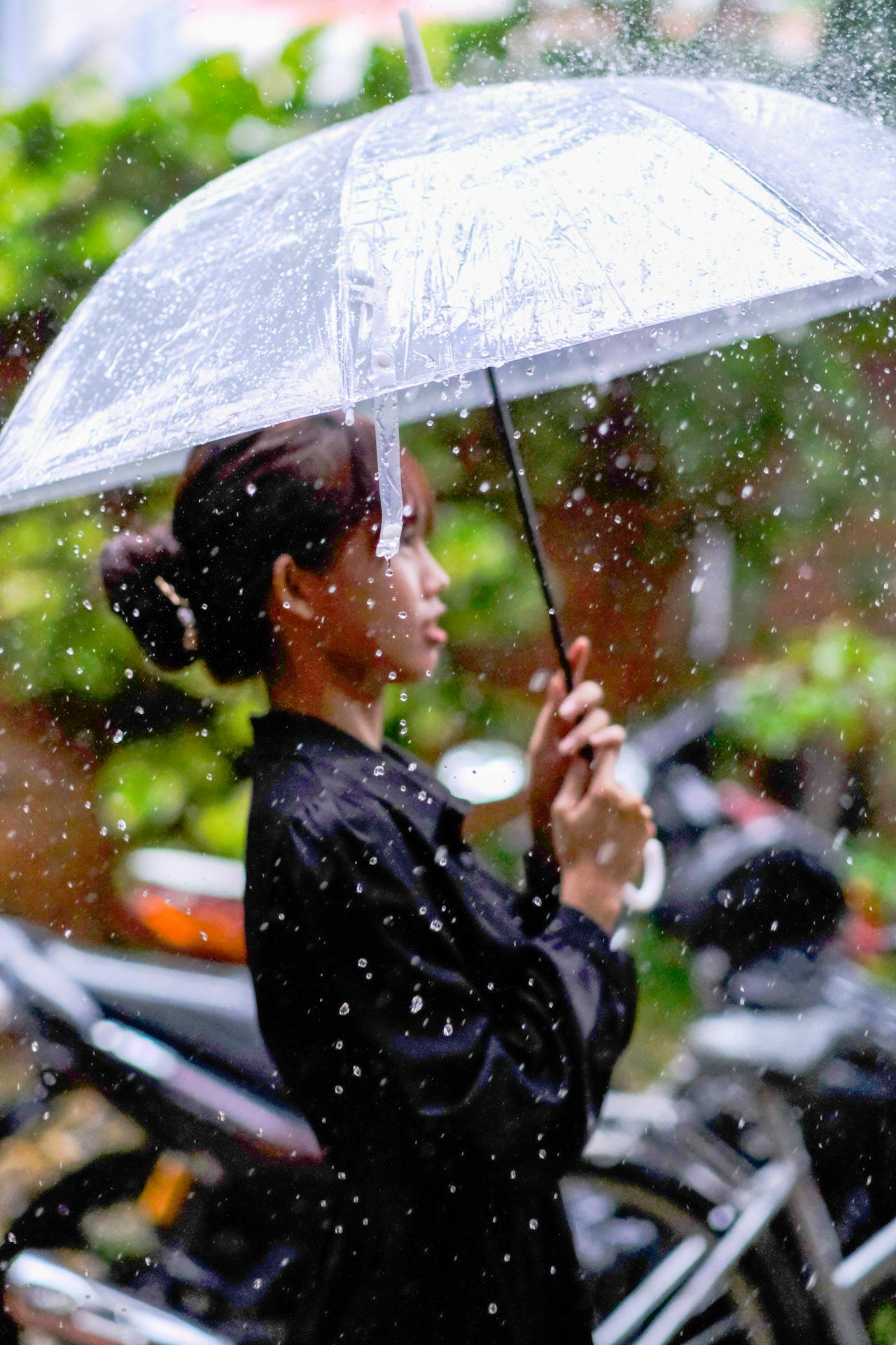 Tam học (Trishiksha – 三學) là gì?