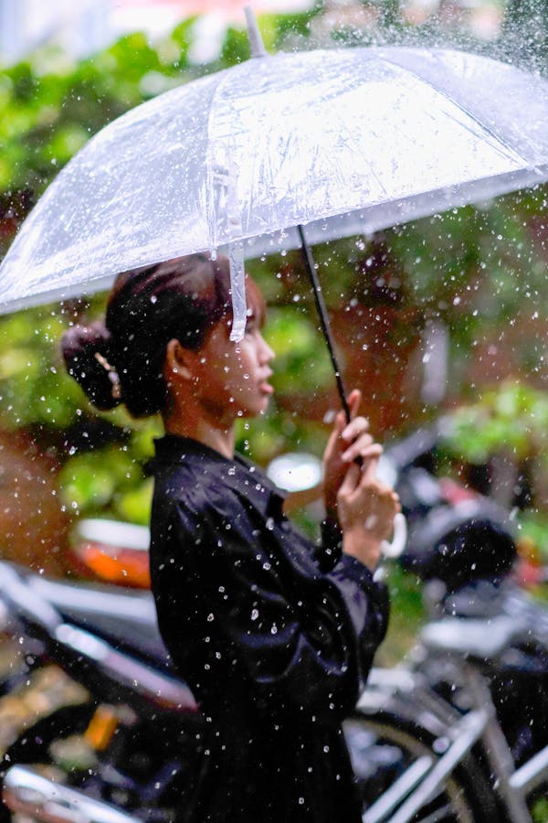 Trung tâm nghiên cứu văn học, phát triển nhà văn Việt Nam