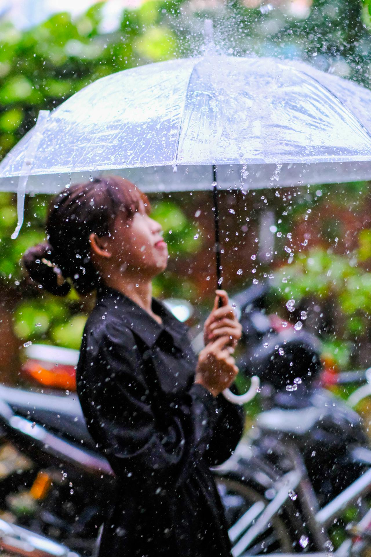 Ỷ thiên đồ long ký | Chương 28