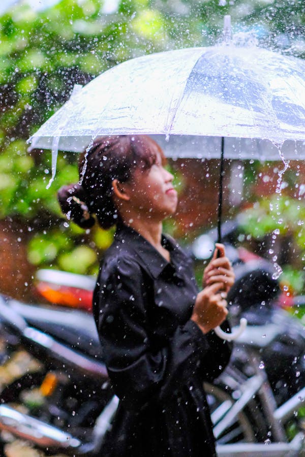 Trung tâm nghiên cứu văn học, phát triển nhà văn Việt Nam