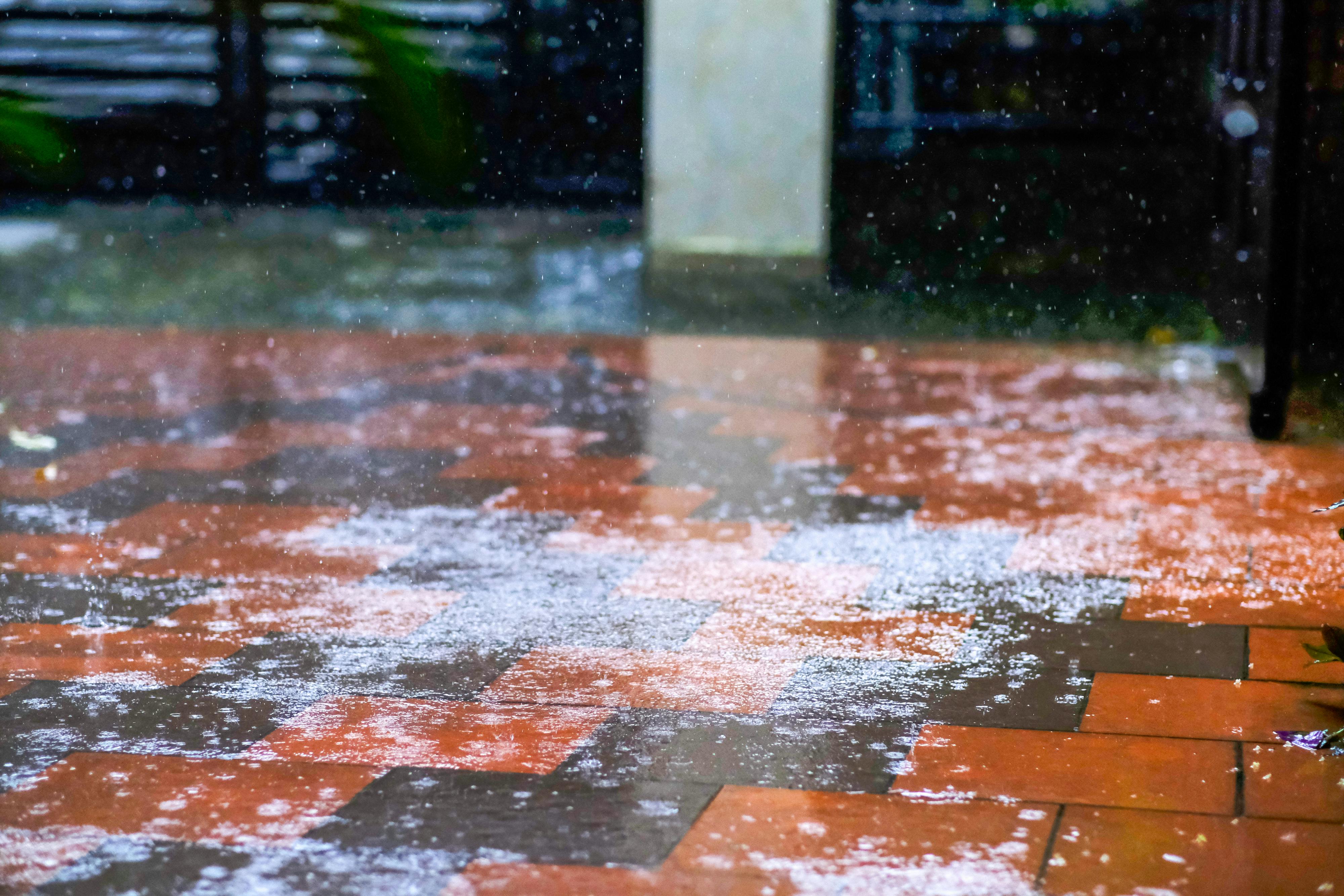 Danh sách theo thẻ tezuka-osamu, trang 9