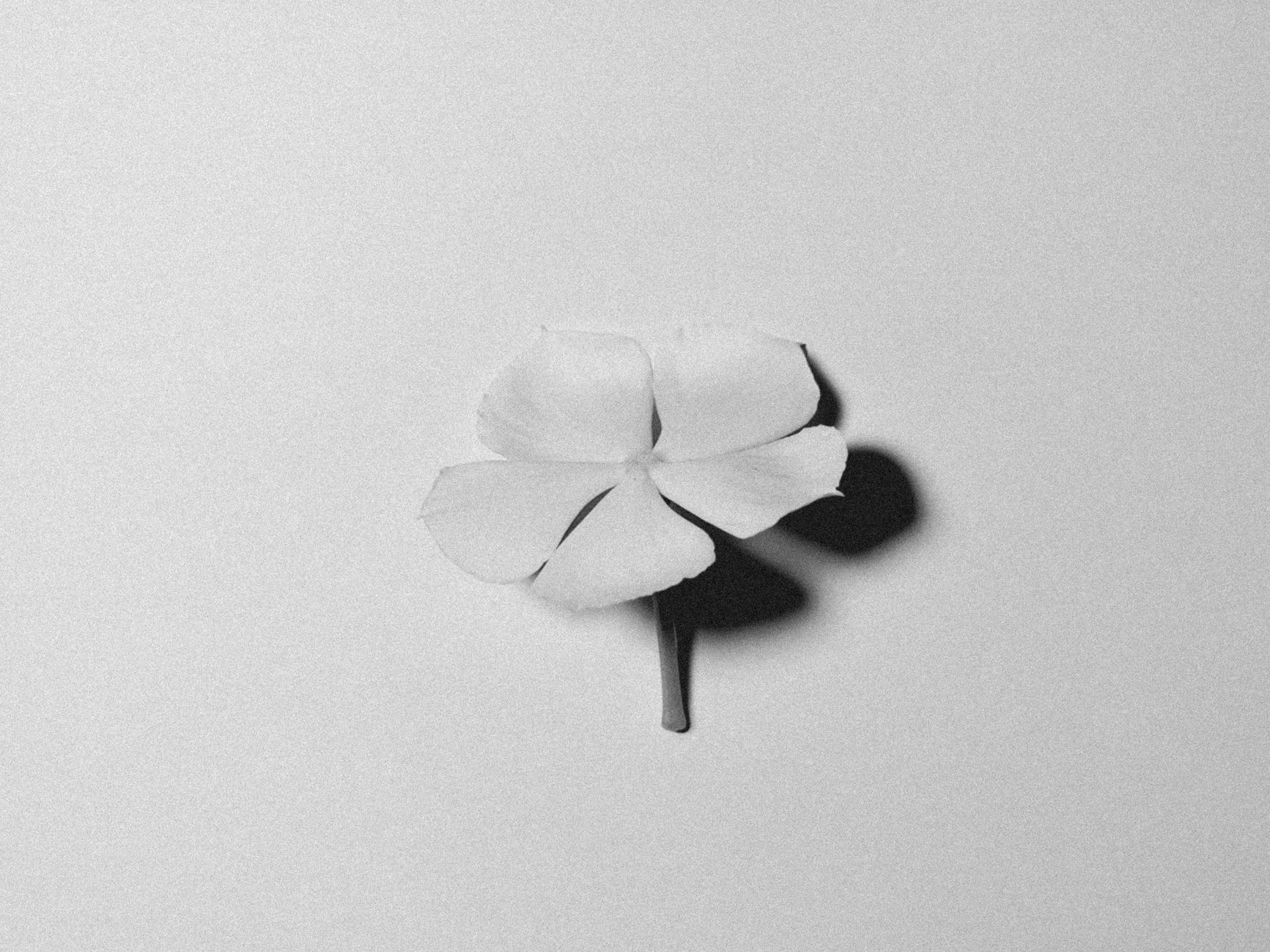 Per-Egil Flo