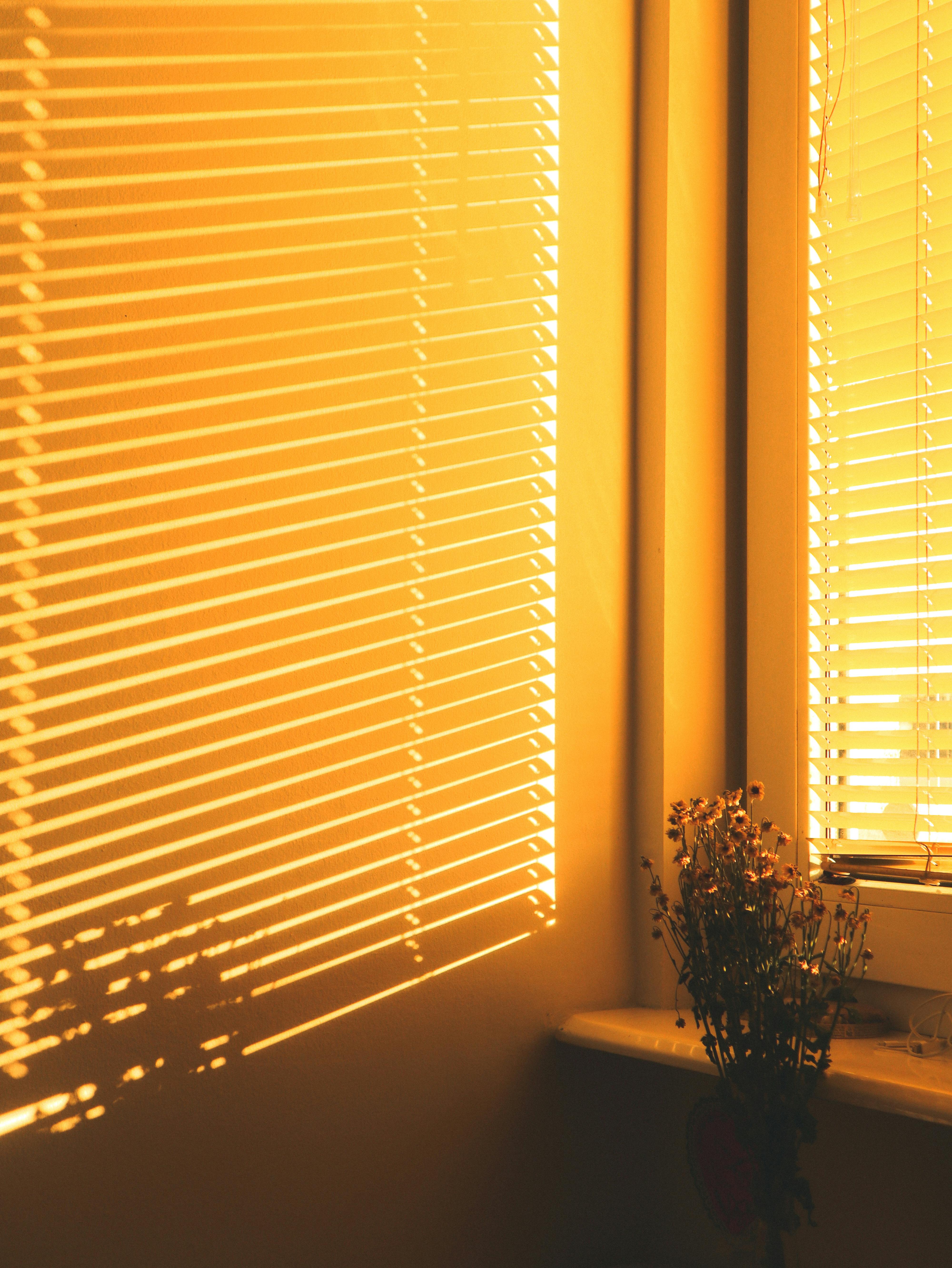 Soft golden sunlight streaming through blinds with shadows and dry flowers on a windowsill.