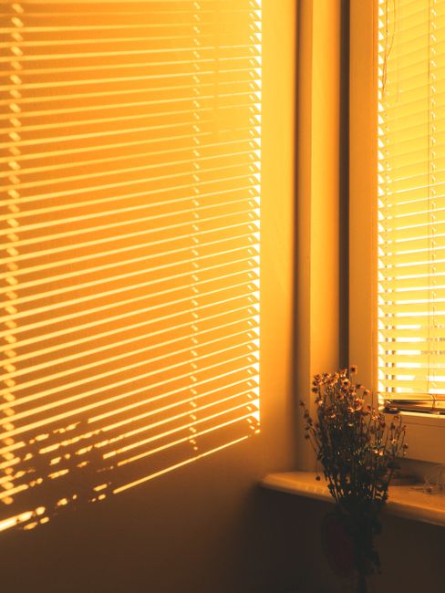 Soft golden sunlight streaming through blinds with shadows and dry flowers on a windowsill.