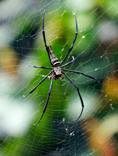 Web Scraper