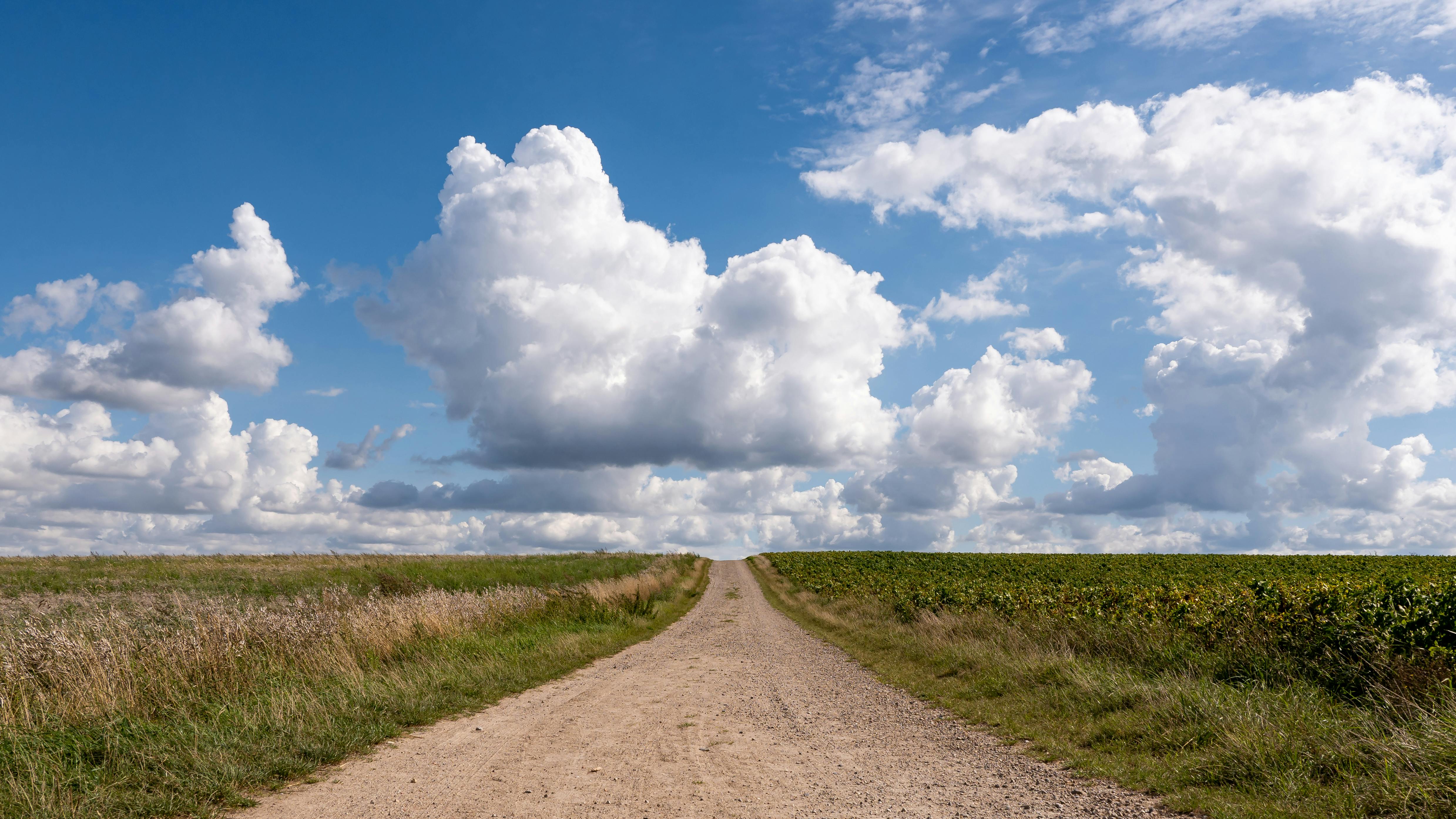 Pokemon Pokopia: Developer Cloud Island Code — Photo by Lorna Pauli on Pexels